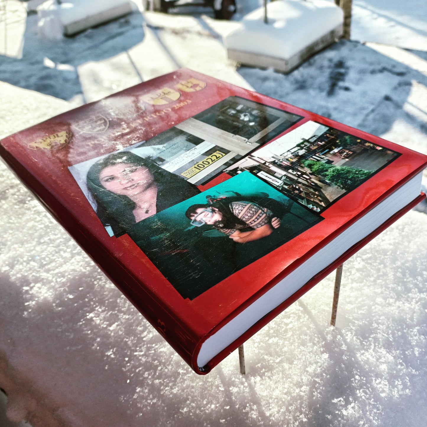 Pohjolan poliisi kertoo 2003