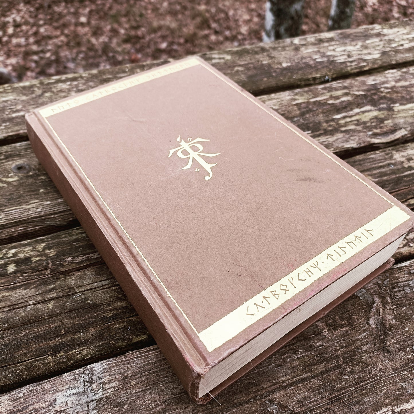 Taru sormusten herrasta 1 - Sormuksen ritarit - J. R. R. Tolkien
