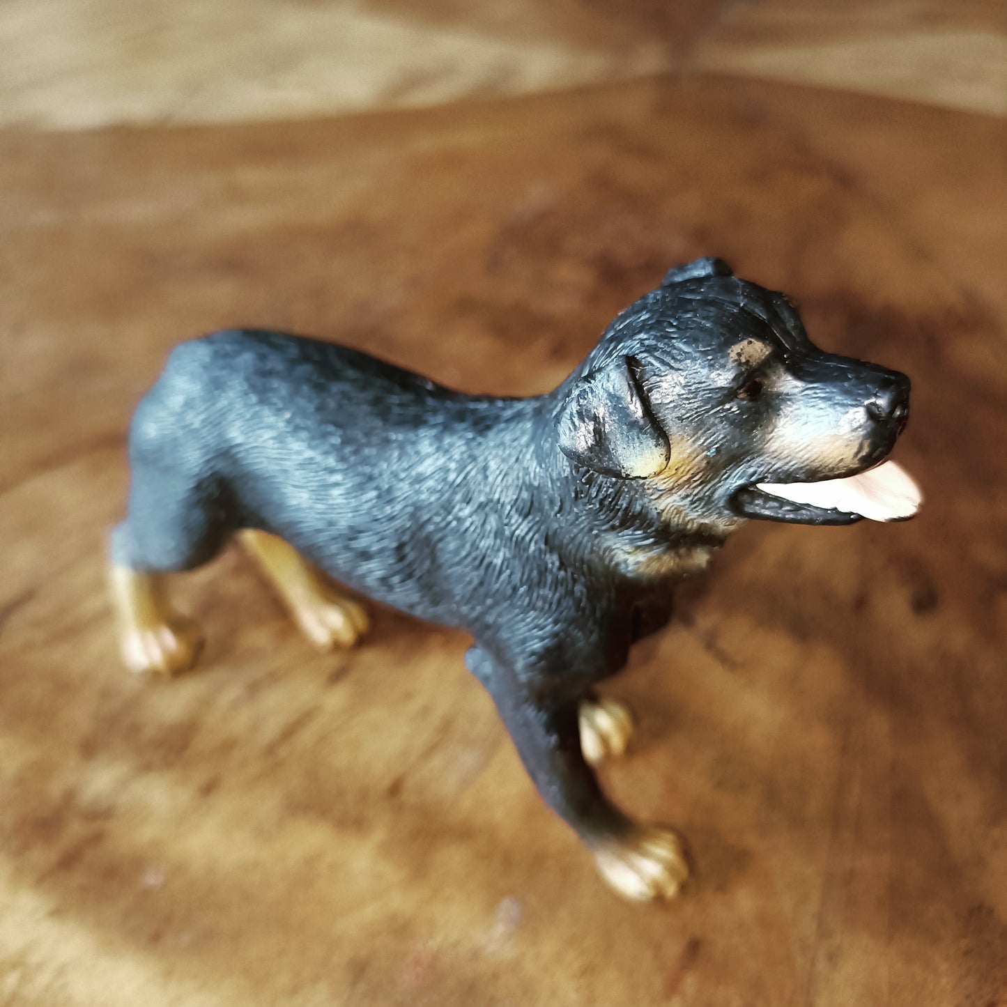 Procon Rottweiler koirafiguuri