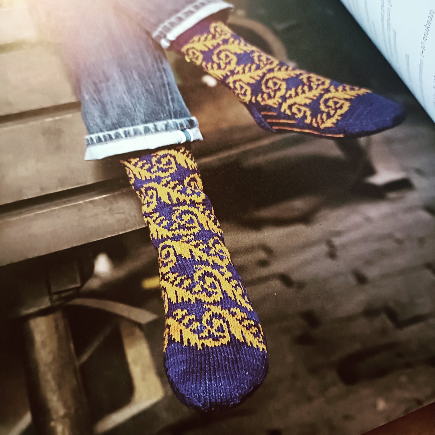 Puikkomaisterin sukkakirja