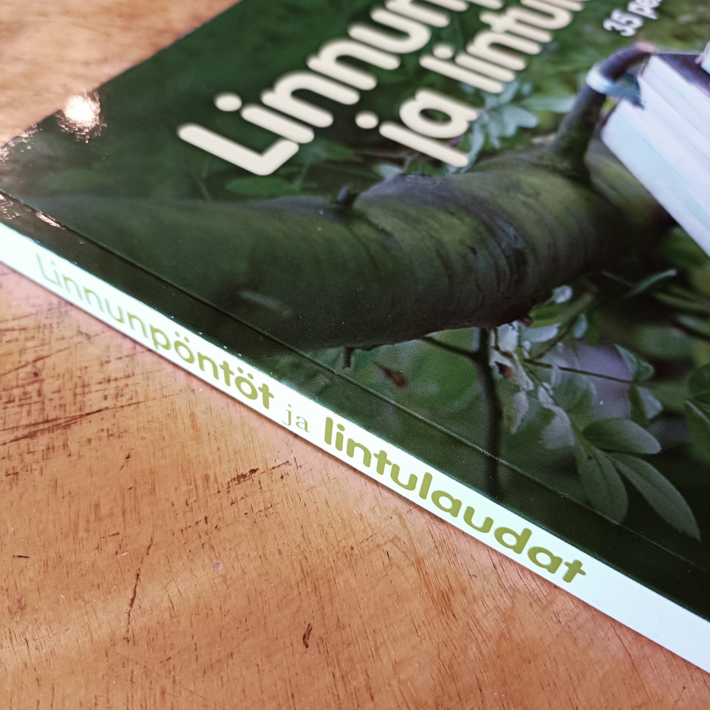 Linnunpöntöt ja lintulaudat - 35 persoonallista mallia