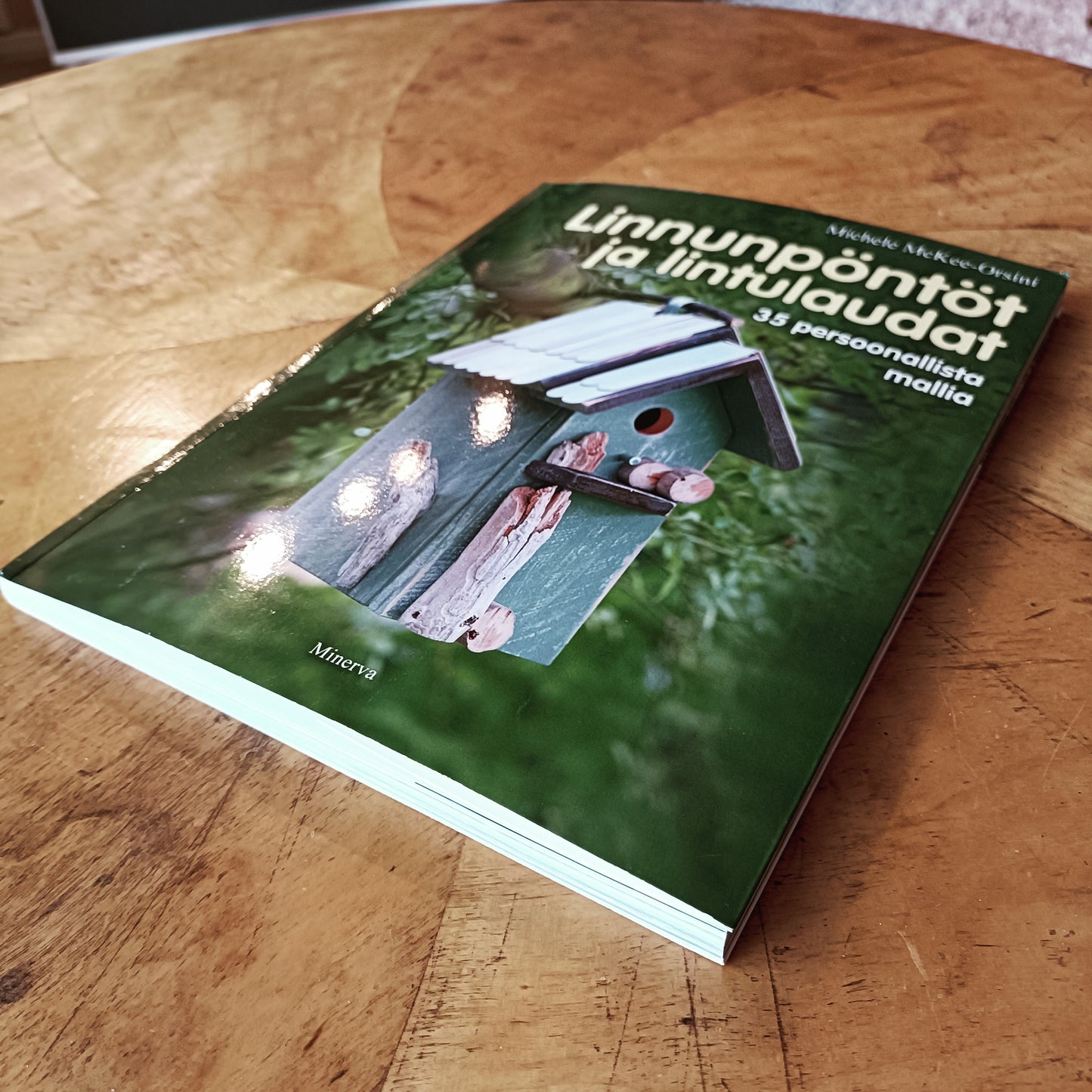 Linnunpöntöt ja lintulaudat - 35 persoonallista mallia