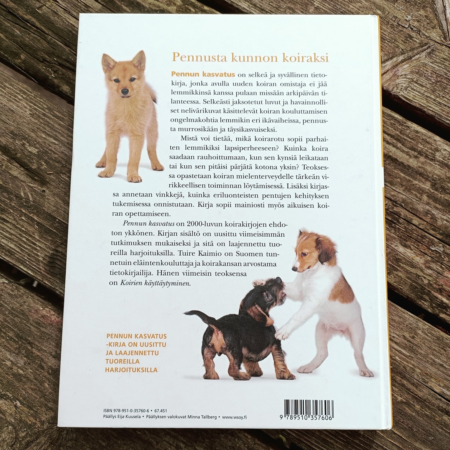 Pennun kasvatus - Pennusta kunnon koiraksi