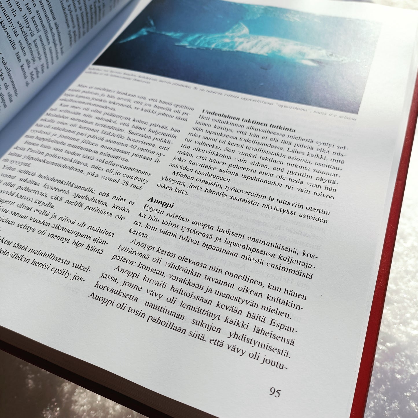 Pohjolan poliisi kertoo 2003