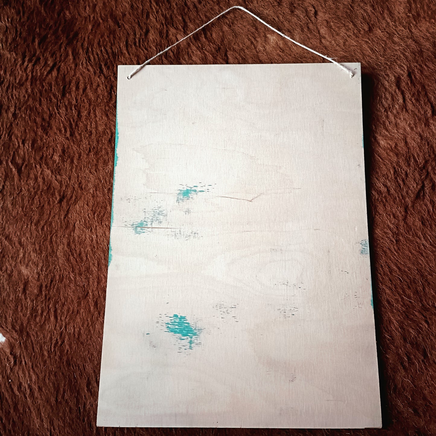 Huoneentaulu - Miksi koira on parempi kuin mies...