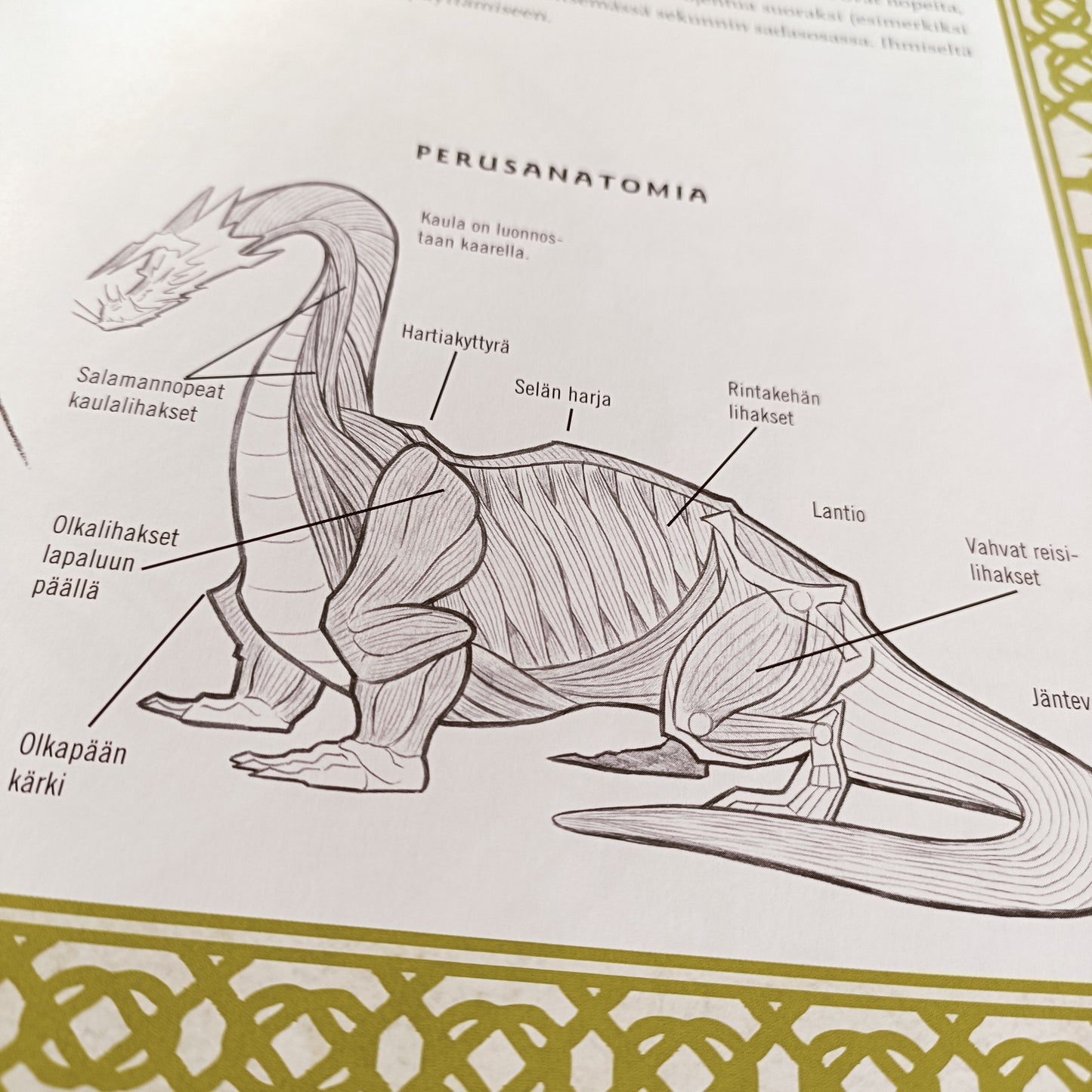 Piirrä lohikäärmeitä