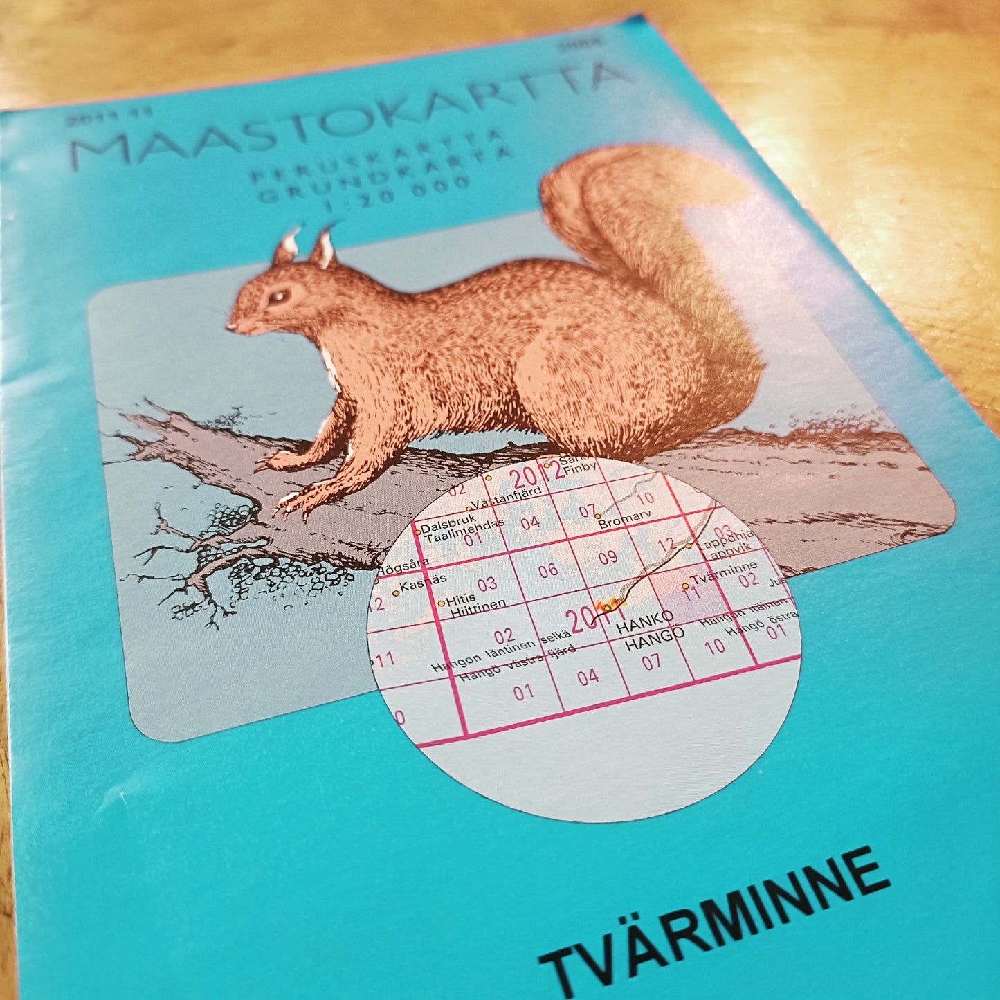 Maastokartta Tvärminne 2005 - 1:20000