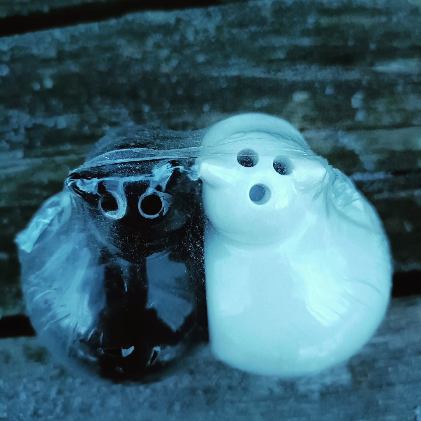 Lehmäsirottimet - Suola ja pippuri