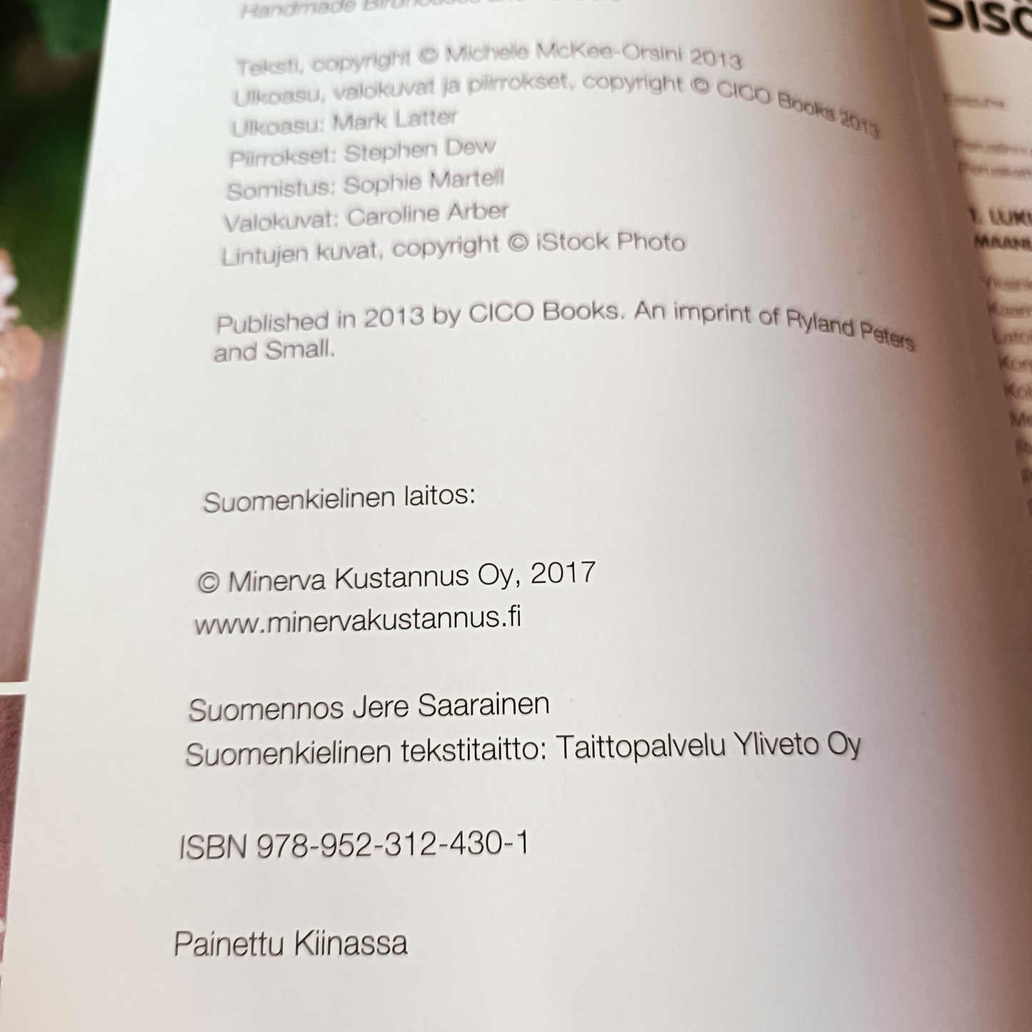 Linnunpöntöt ja lintulaudat - 35 persoonallista mallia