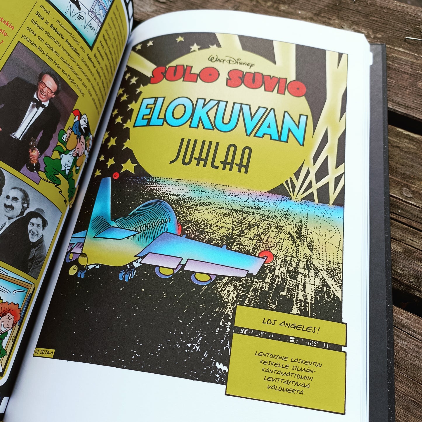 Ankka vailla menneisyyttä