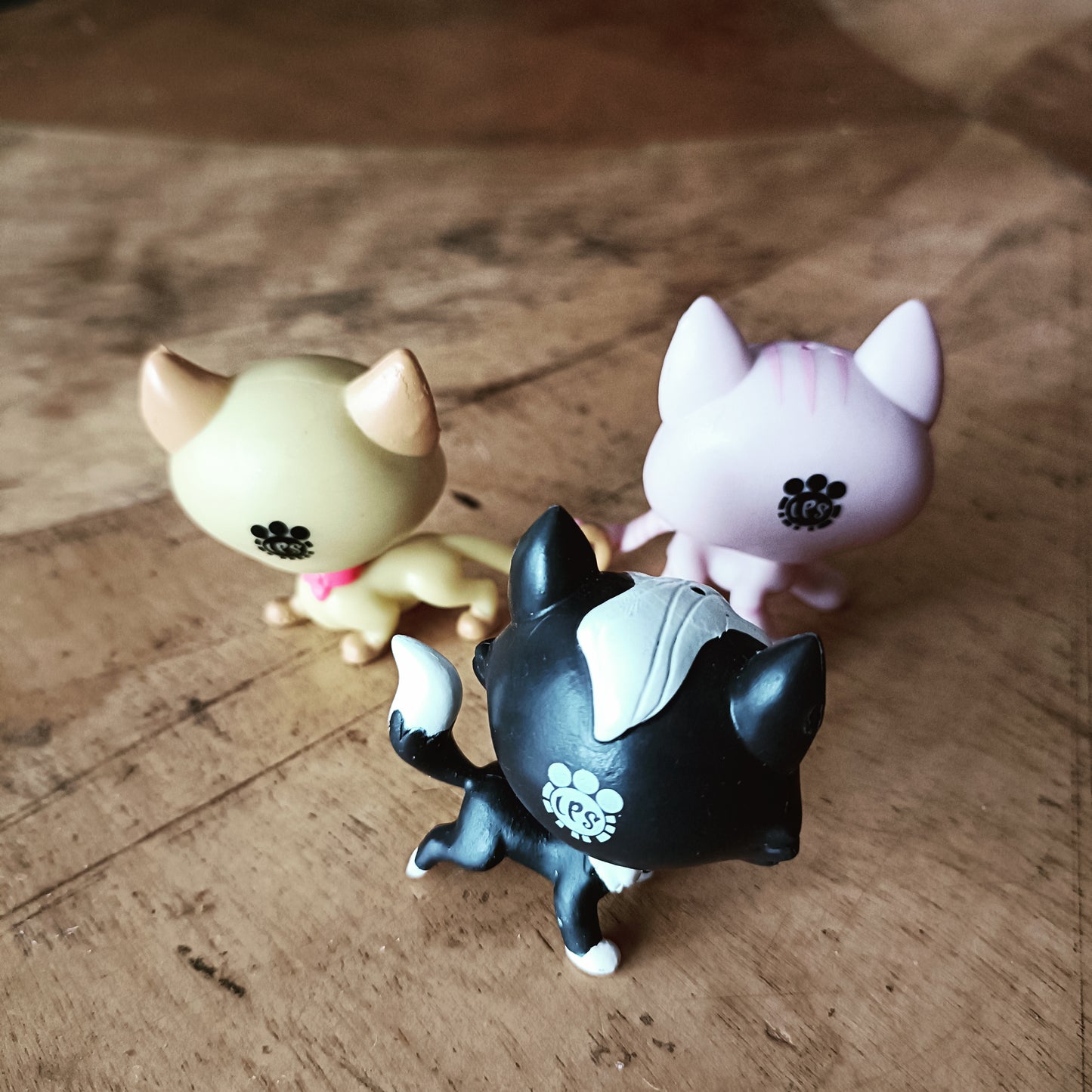 Littlest Pet Shop kissoja 3 kpl