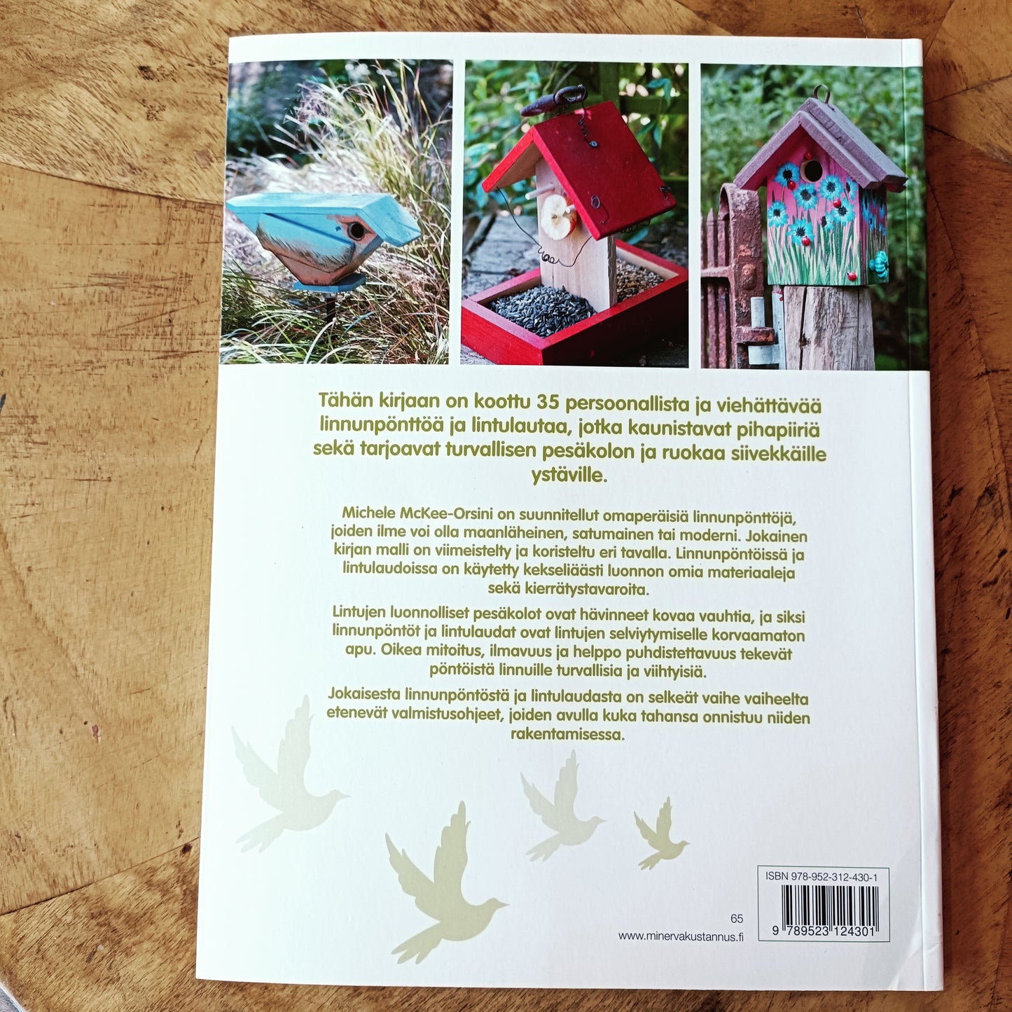 Linnunpöntöt ja lintulaudat - 35 persoonallista mallia