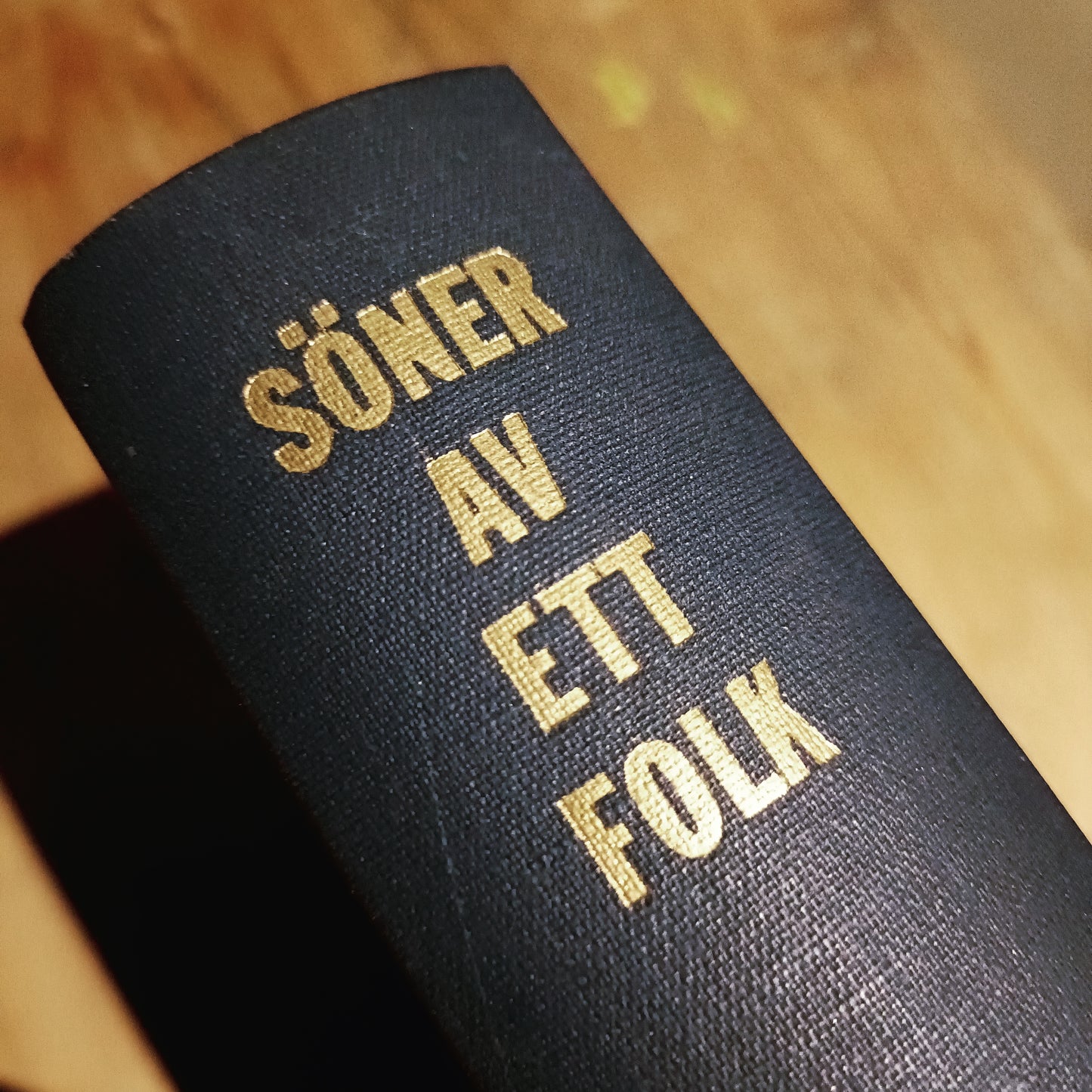 Söner av ett folk - Väinö Linna