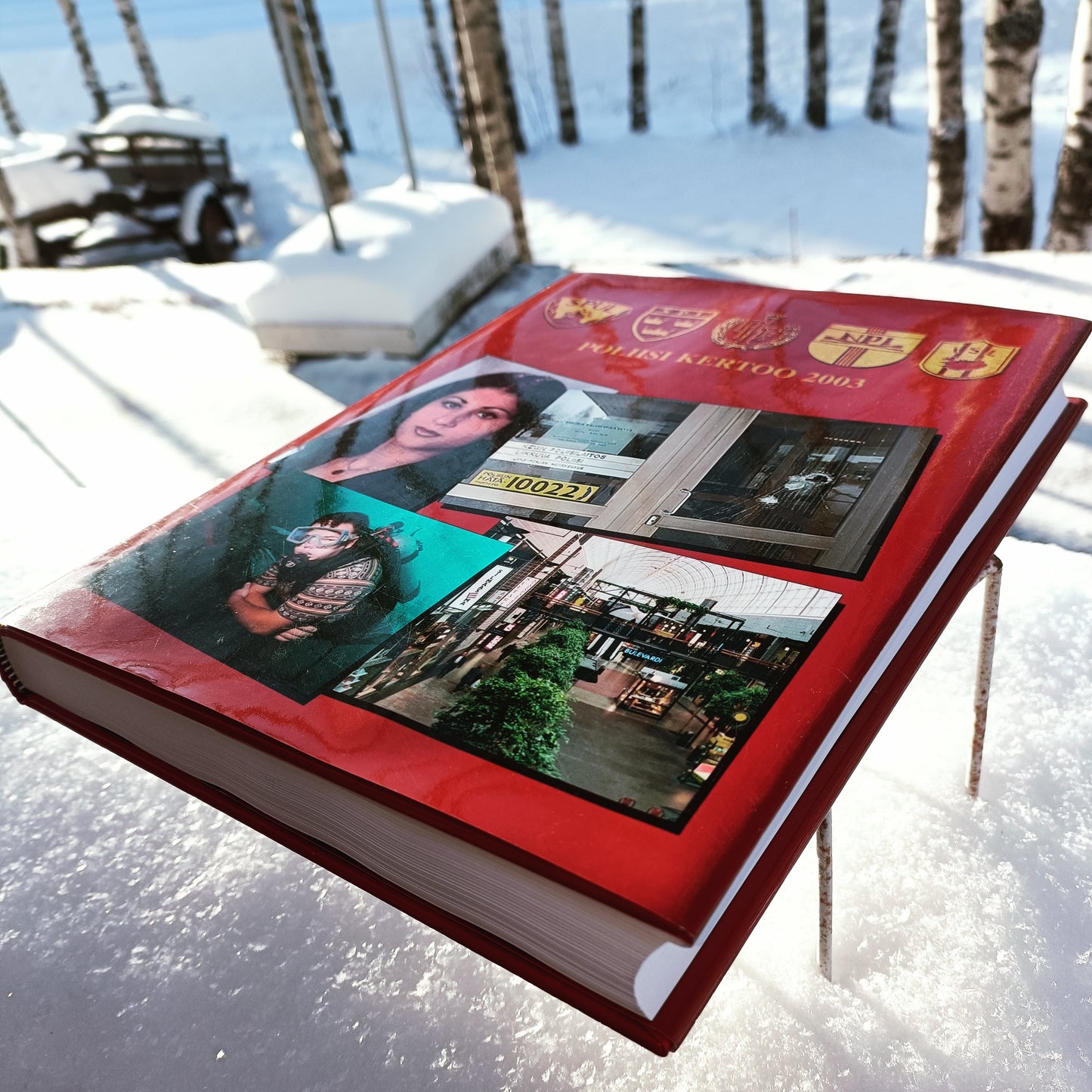 Pohjolan poliisi kertoo 2003