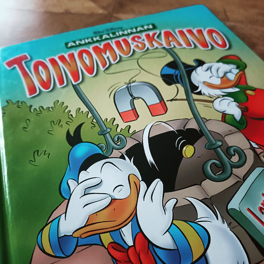 Ankkalinnan Toivomuskaivo