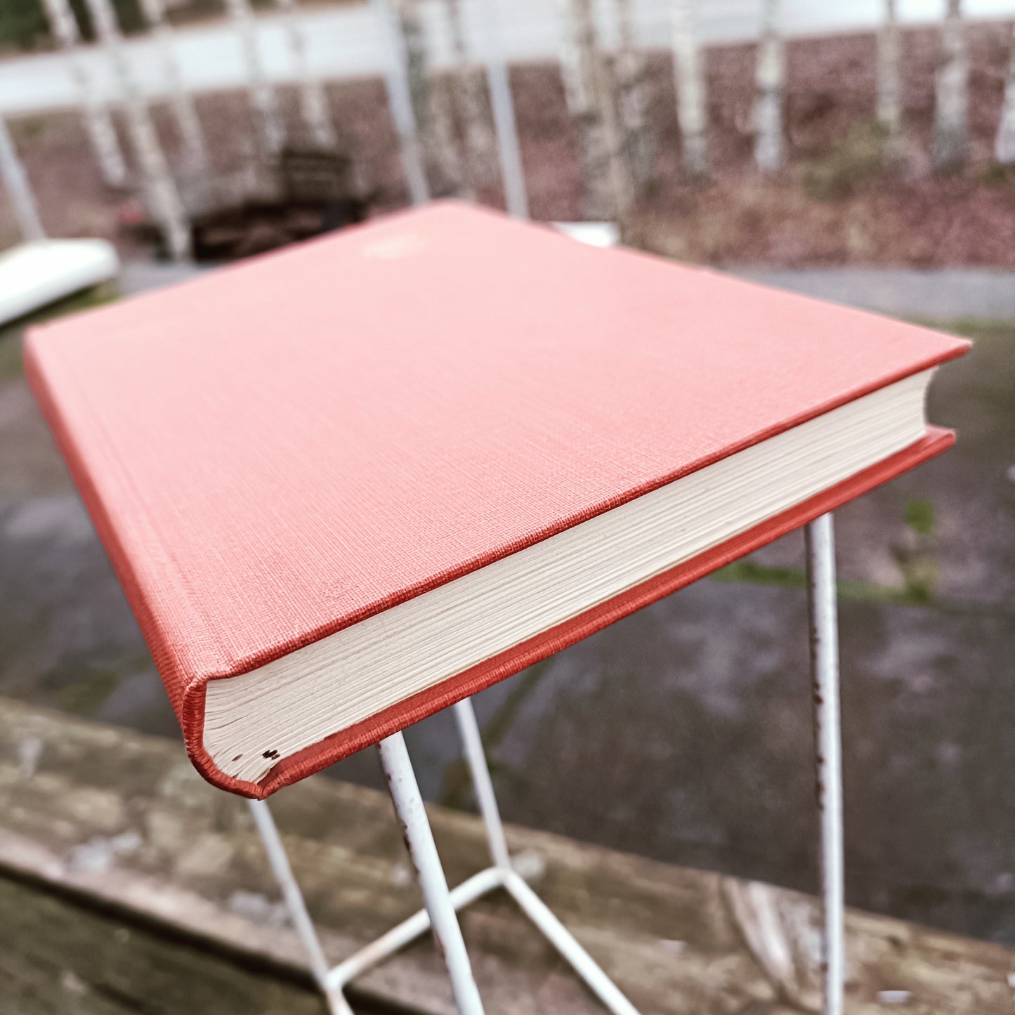 Orm Punainen - Länsireittien merenkulkijoita