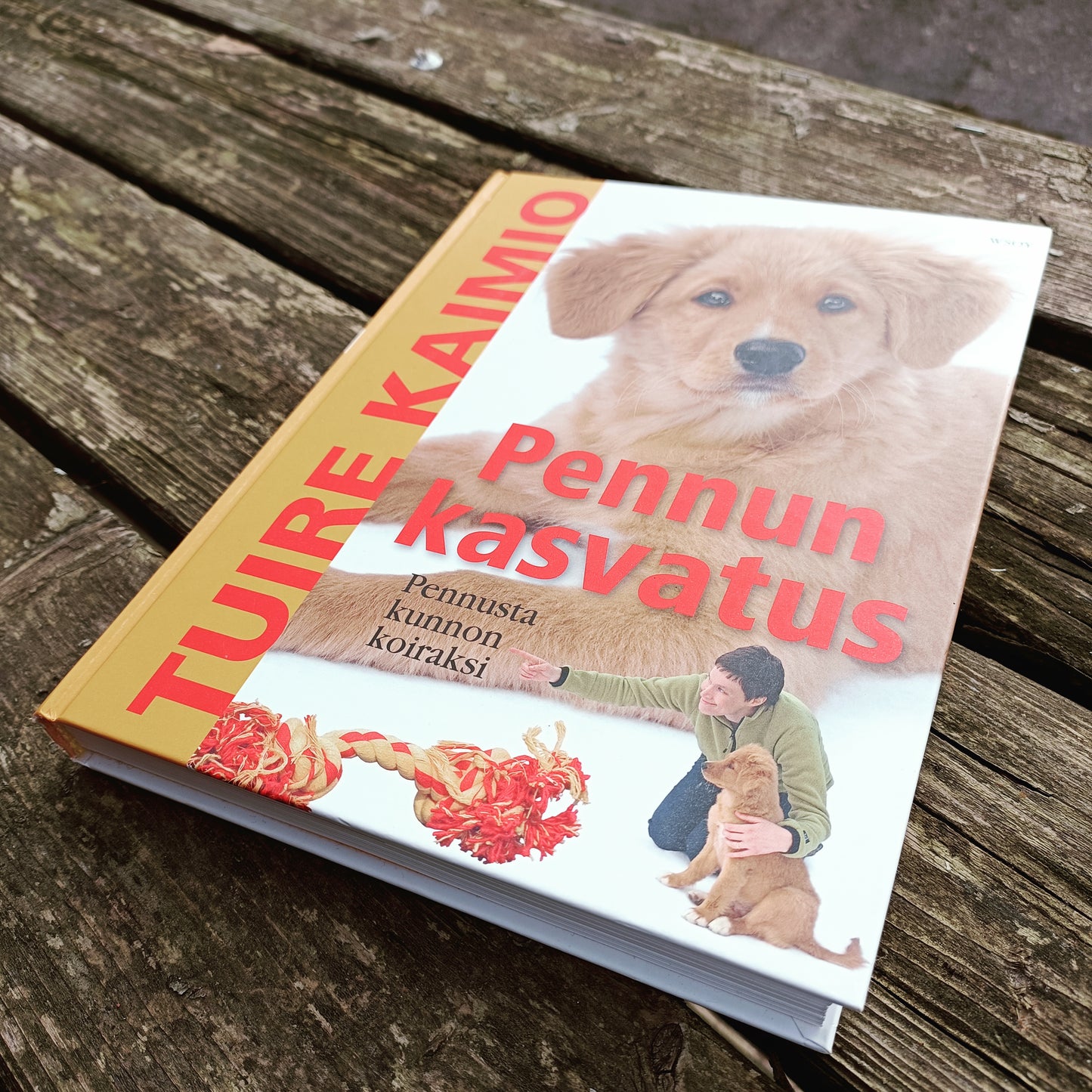 Pennun kasvatus - Pennusta kunnon koiraksi