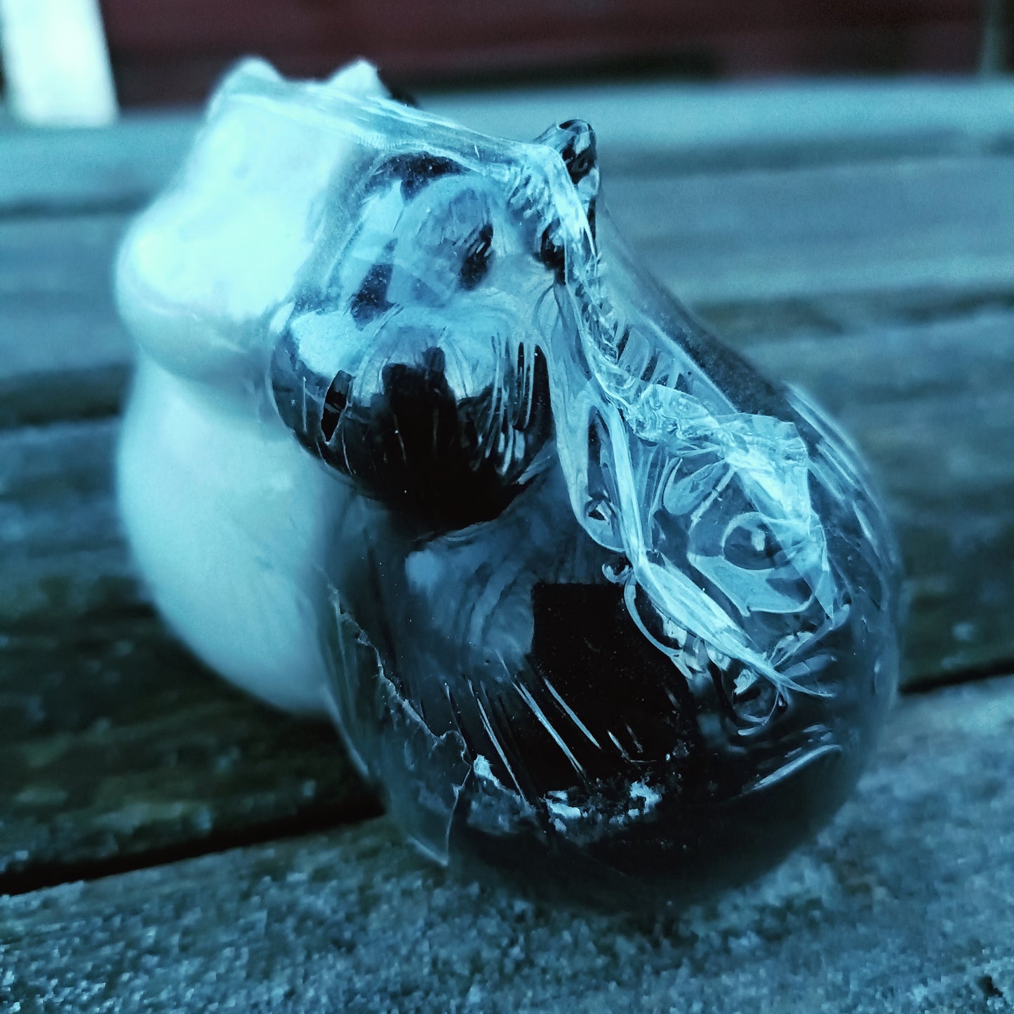 Lehmäsirottimet - Suola ja pippuri