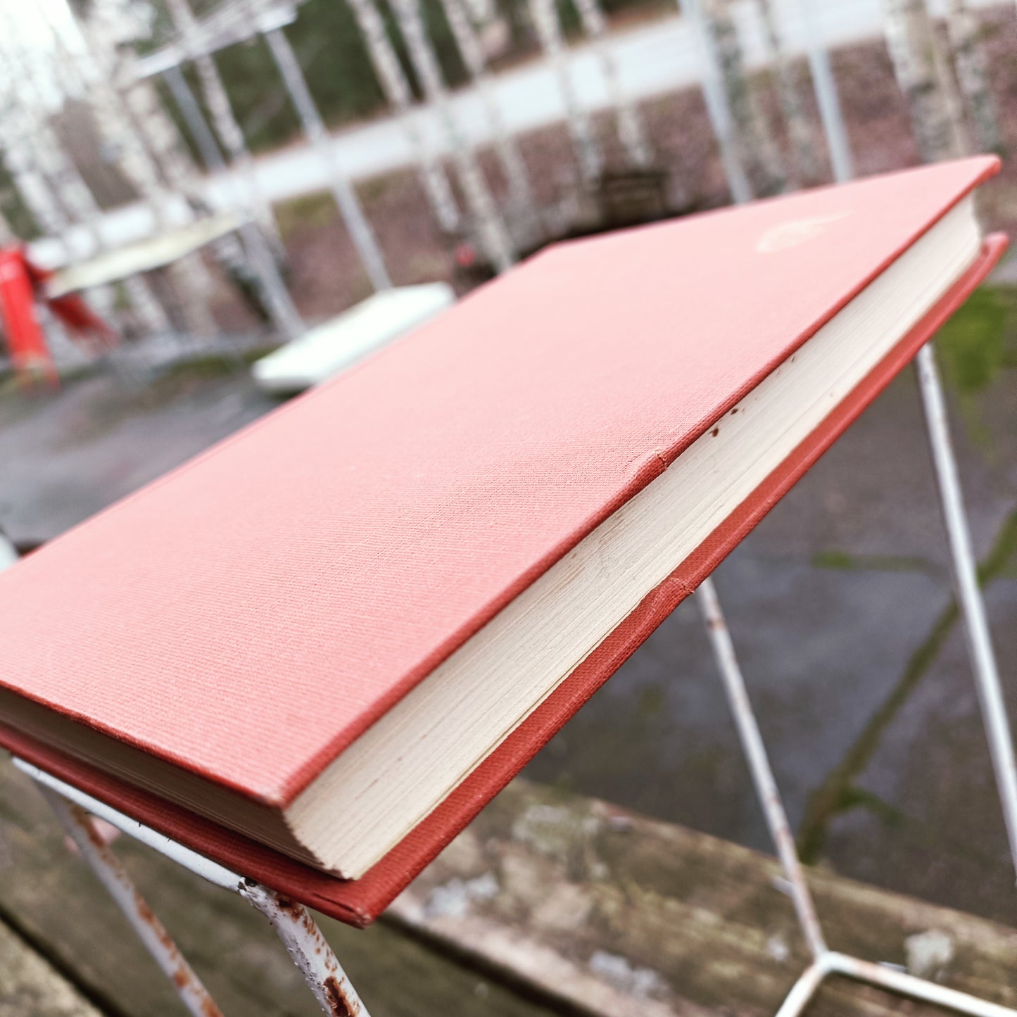 Orm Punainen - Länsireittien merenkulkijoita