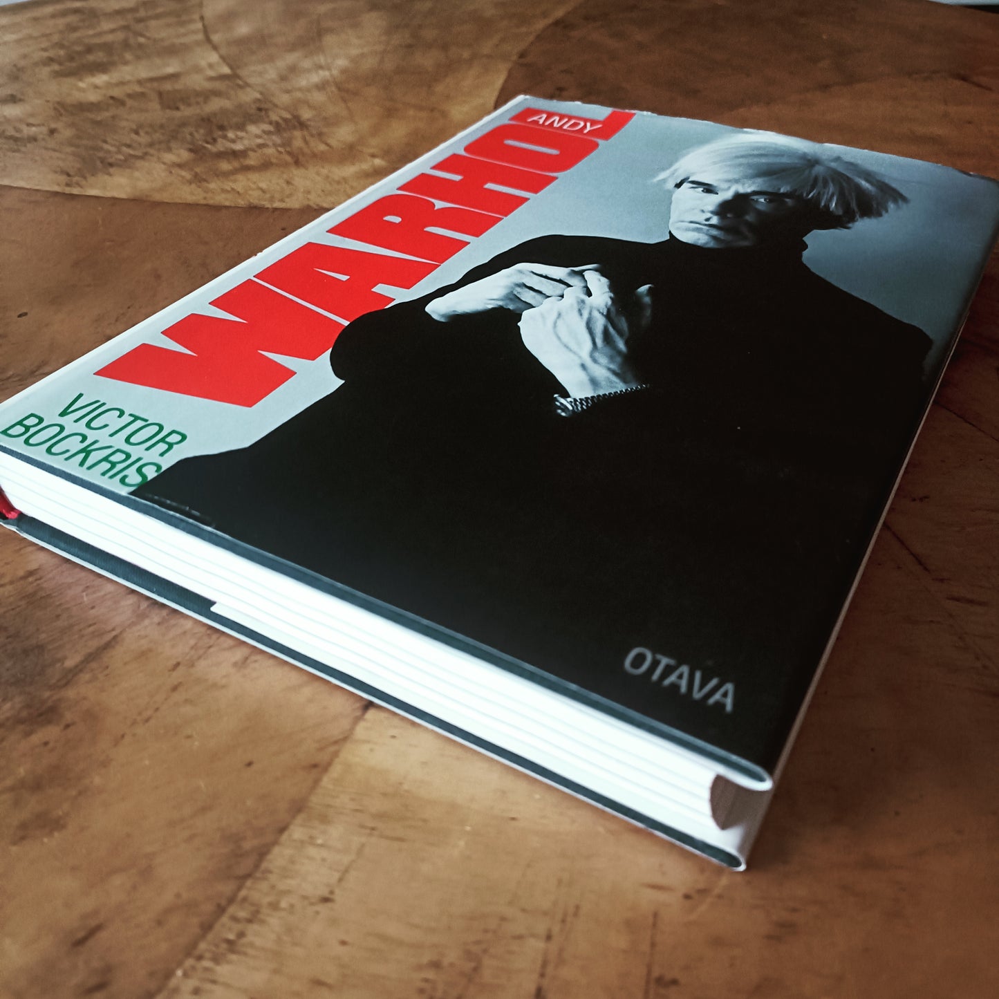 Andy Warhol - Victor Bockris