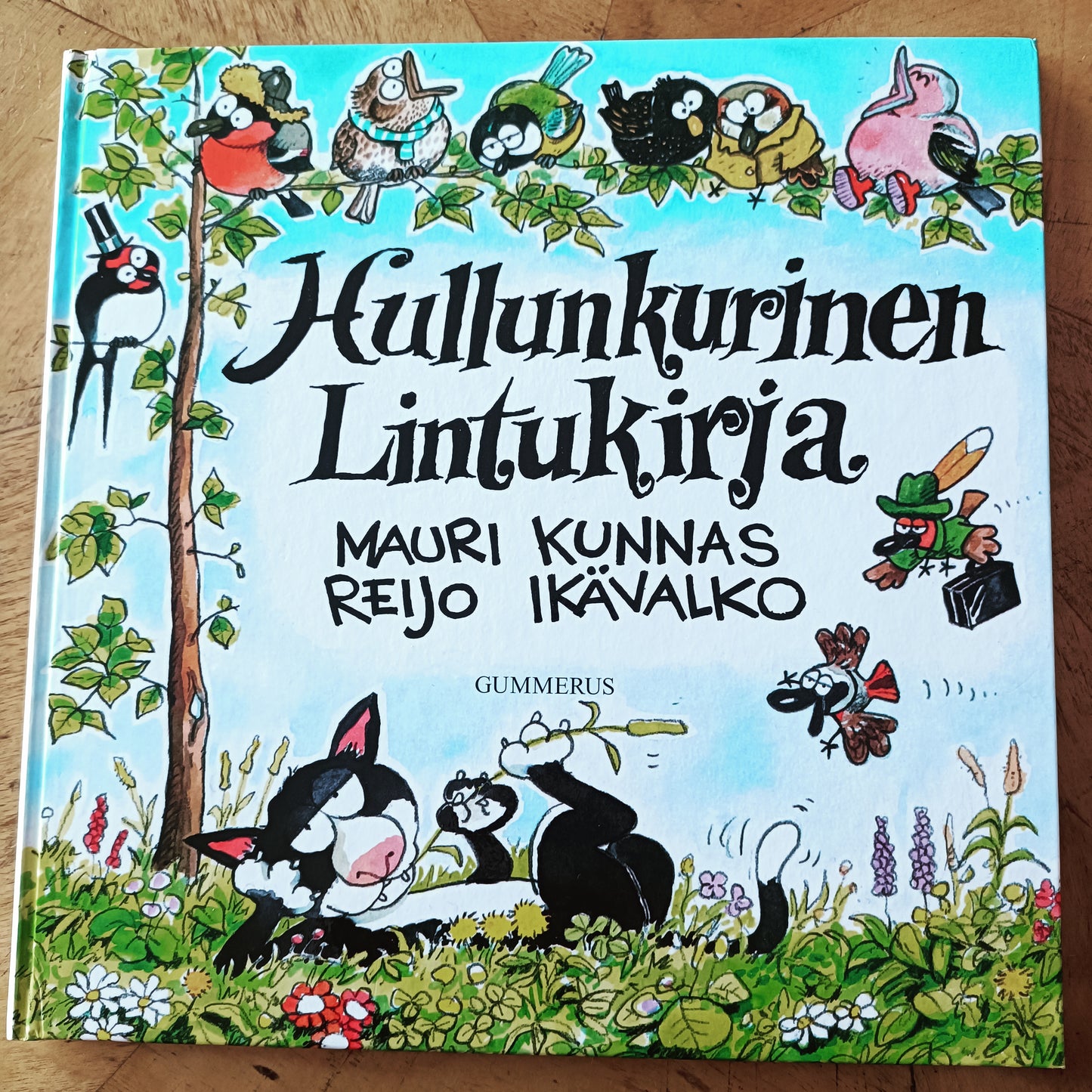 Hullunkurinen lintukirja