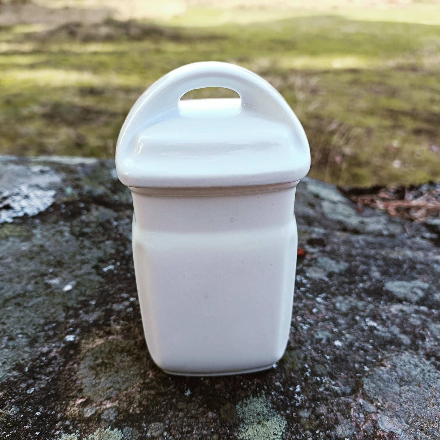 Arabia luumu maustepurkki, inkivääriä