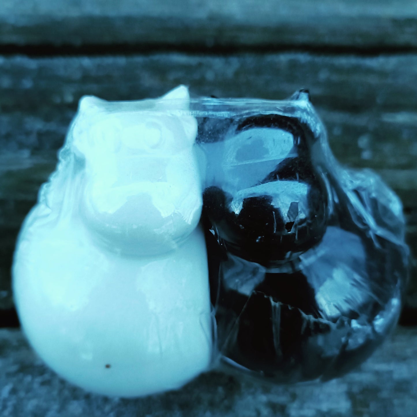 Lehmäsirottimet - Suola ja pippuri